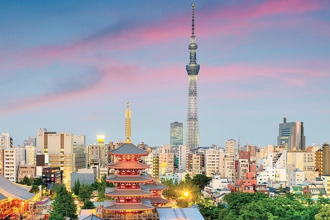 A five-storey pagoda and a tall broadcast tower against a pink sunset sky