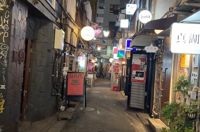 Tokyo Fully Custom Private Night Tour with English-speaking guide
