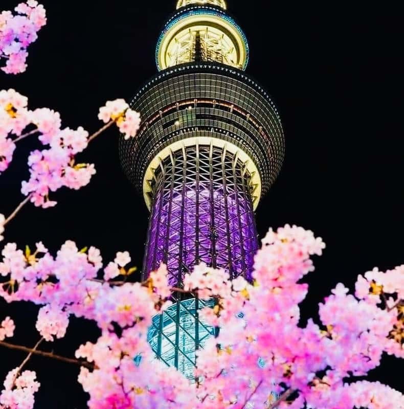 Tokyo/Yokohama: Tokyo city Private Night Tour with Pickup