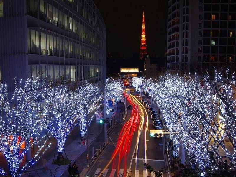 An avenue of trees strung with winter lights, car trails and a lit tower beyond